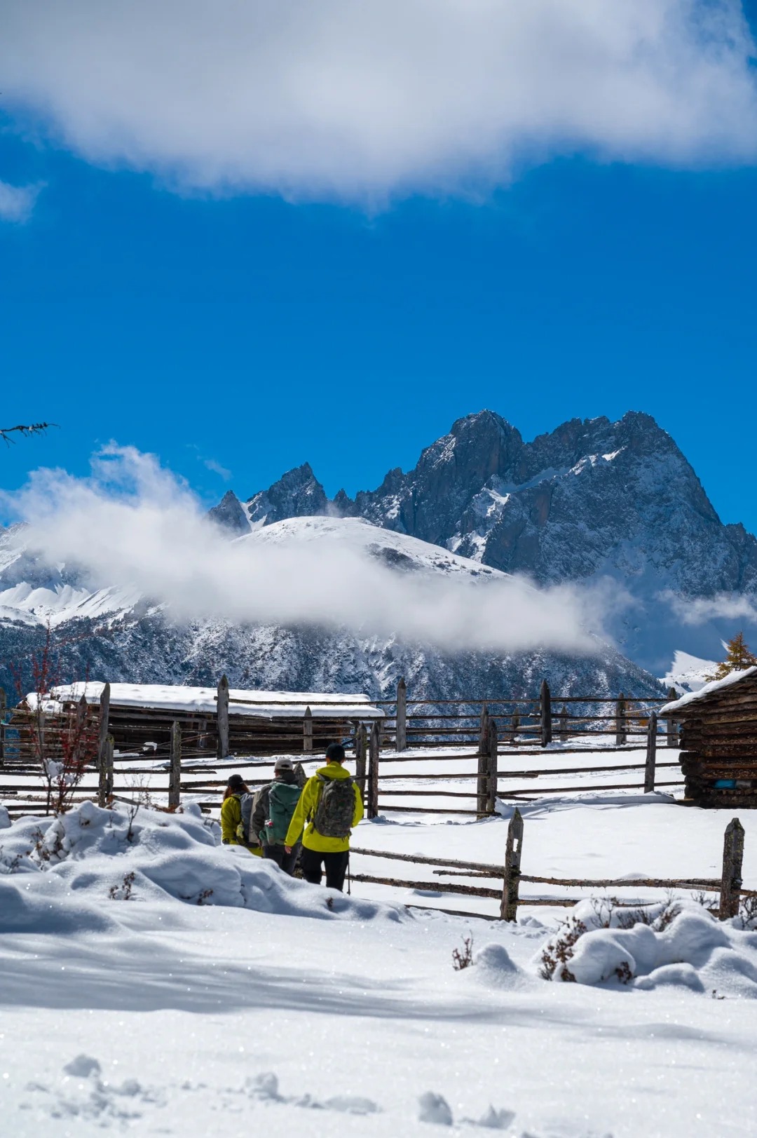下雪后的阿布吉措直接封神_3_云南徒鹰📷_云南-香格里拉-来自52tours 我爱旅游网
